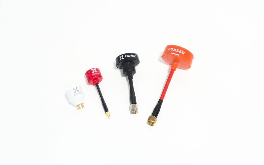 foxeer-lolipop