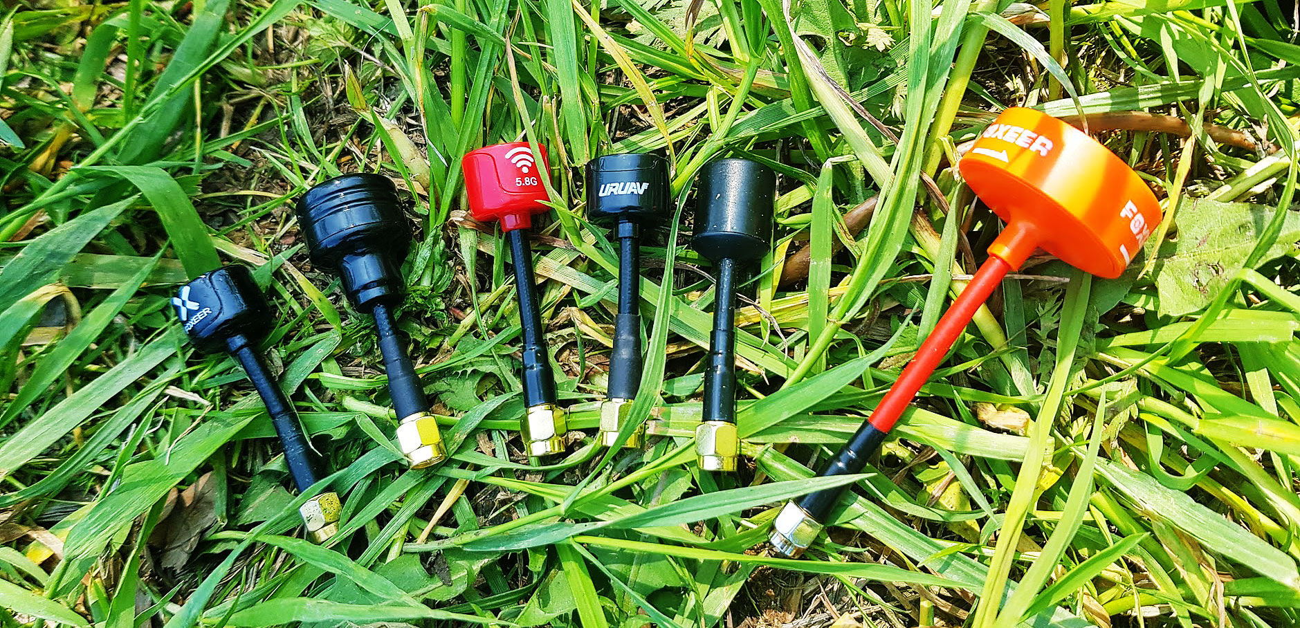 Krótki test anten dookólnych. Foxeer, Turbowing, Realacc, URUAV.